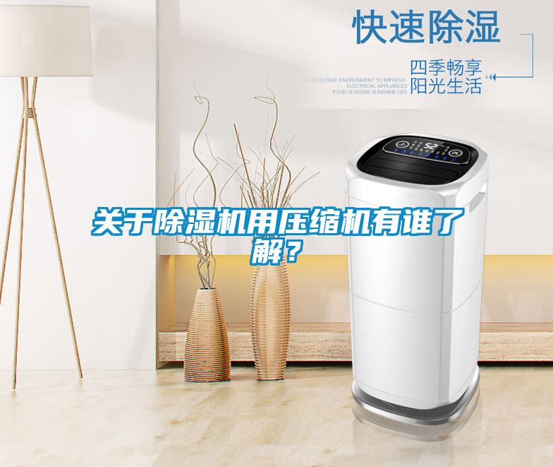 關(guān)于除濕機用壓縮機有誰(shuí)了解？