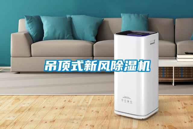 吊頂式新風(fēng)除濕機