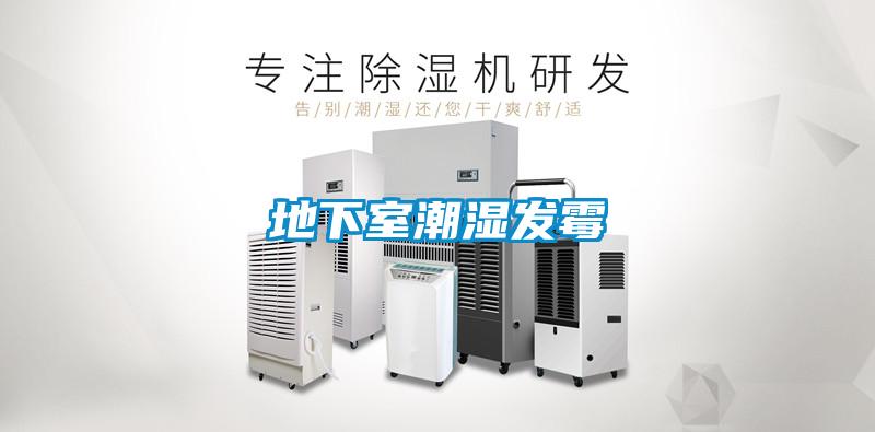 地下室潮濕發(fā)霉