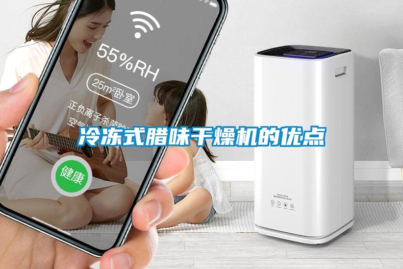 冷凍式臘味干燥機的優(yōu)點(diǎn)