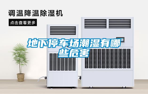 地下停車(chē)場(chǎng)潮濕有哪些危害