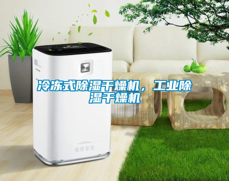 冷凍式除濕干燥機，工業(yè)除濕干燥機