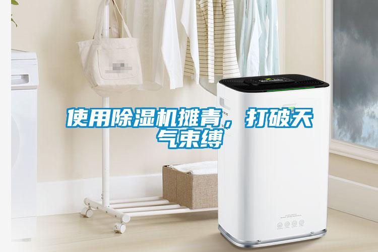 使用除濕機攤青，打破天氣束縛
