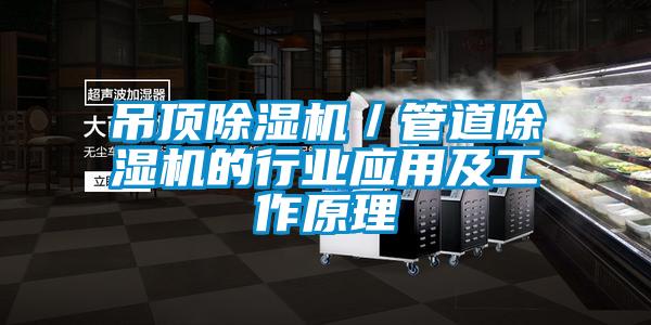 吊頂除濕機／管道除濕機的行業(yè)應用及工作原理