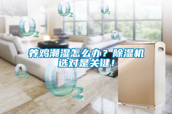 養雞潮濕怎么辦？除濕機選對是關(guān)鍵！