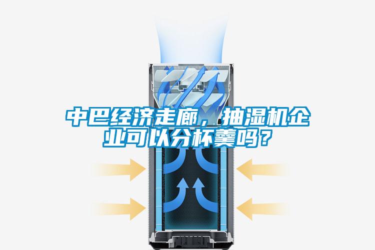 中巴經(jīng)濟走廊，抽濕機企業(yè)可以分杯羹嗎？
