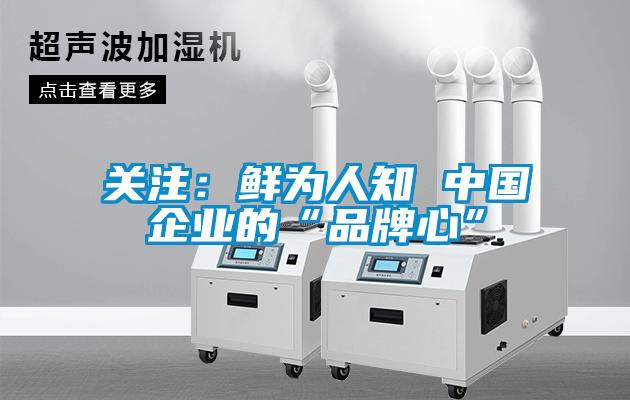 關(guān)注：鮮為人知 中國企業(yè)的“品牌心”
