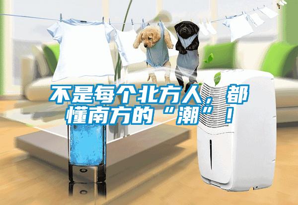 不是每個(gè)北方人，都懂南方的“潮”！