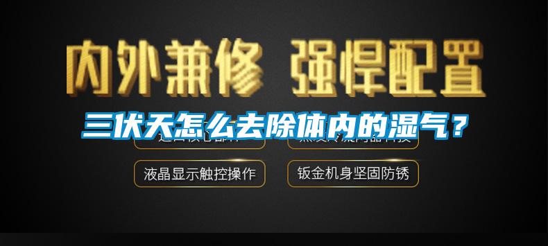 三伏天怎么去除體內的濕氣？