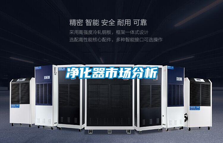 凈化器市場(chǎng)分析
