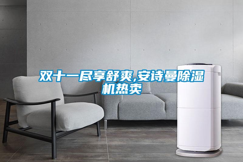 雙十一盡享舒爽,安詩(shī)曼除濕機熱賣(mài)