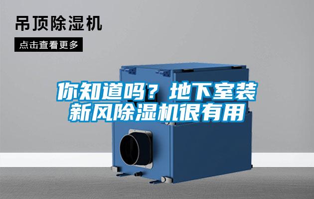 你知道嗎？地下室裝新風(fēng)除濕機很有用