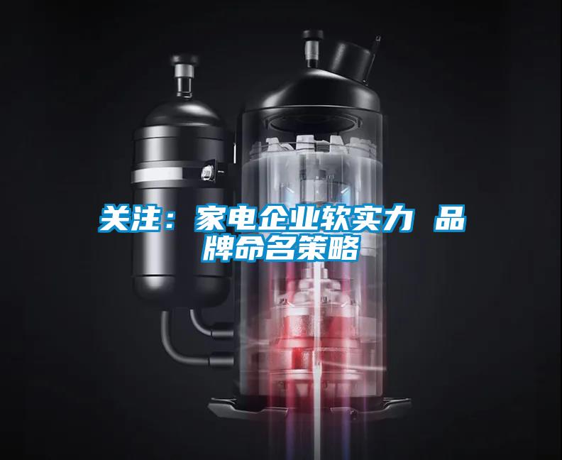 關(guān)注：家電企業(yè)軟實(shí)力 品牌命名策略