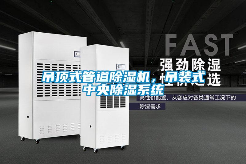 吊頂式管道除濕機，吊裝式中央除濕系統