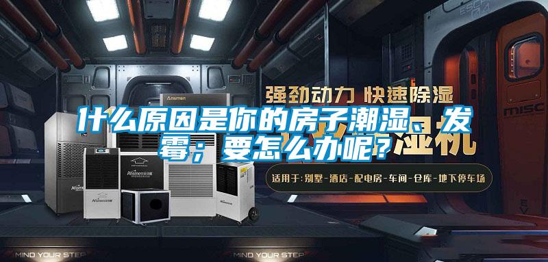 什么原因是你的房子潮濕、發(fā)霉；要怎么辦呢？