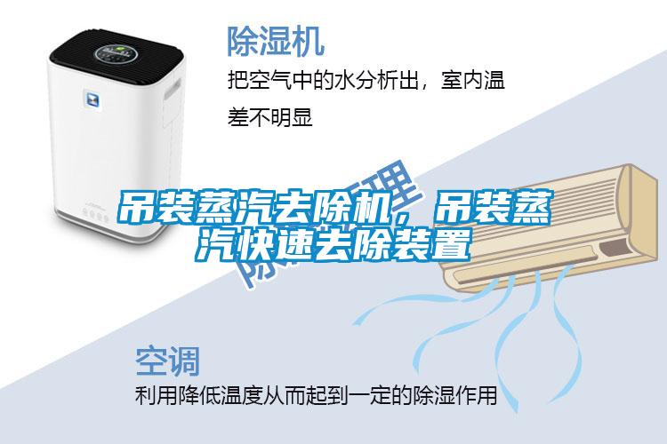 吊裝蒸汽去除機，吊裝蒸汽快速去除裝置
