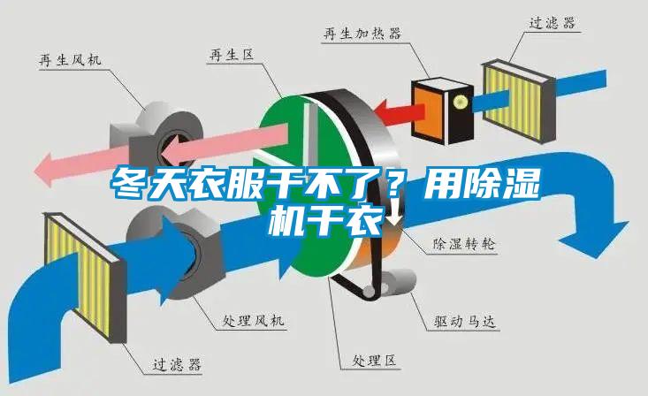 冬天衣服干不了？用除濕機干衣