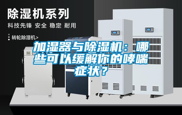 加濕器與除濕機：哪些可以緩解你的哮喘癥狀？