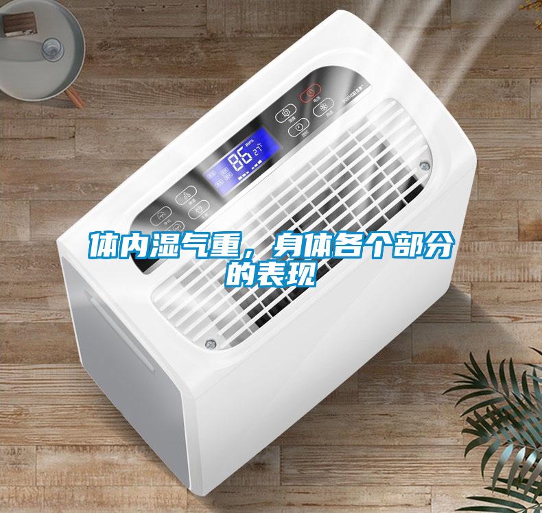 體內濕氣重，身體各個(gè)部分的表現