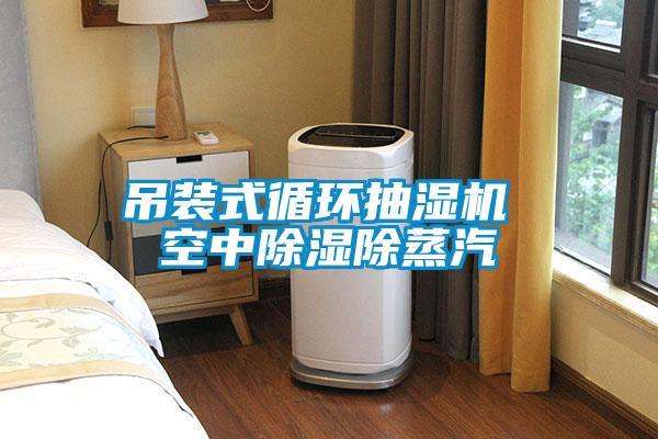 吊裝式循環(huán)抽濕機 空中除濕除蒸汽