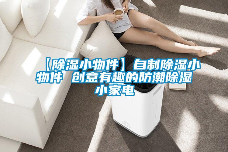 【除濕小物件】自制除濕小物件 創(chuàng  )意有趣的防潮除濕小家電