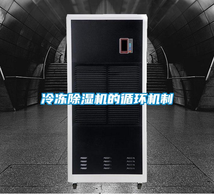 冷凍除濕機的循環(huán)機制
