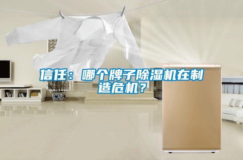 信任：哪個(gè)牌子除濕機在制造危機？