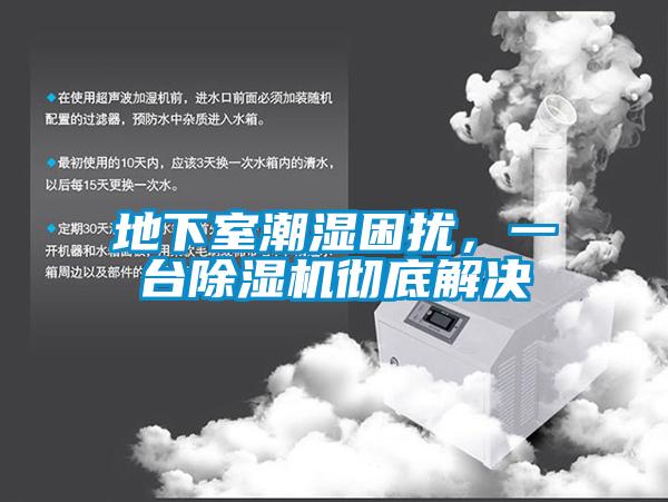 地下室潮濕困擾，一臺除濕機徹底解決