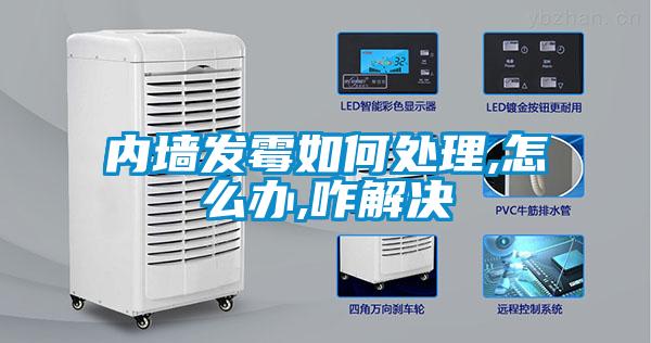 內墻發(fā)霉如何處理,怎么辦,咋解決