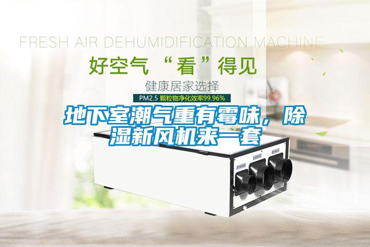 地下室潮氣重有霉味，除濕新風(fēng)機來(lái)一套