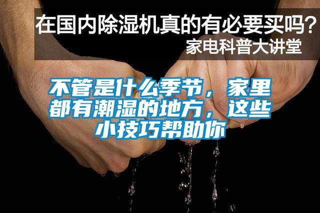 不管是什么季節，家里都有潮濕的地方，這些小技巧幫助你