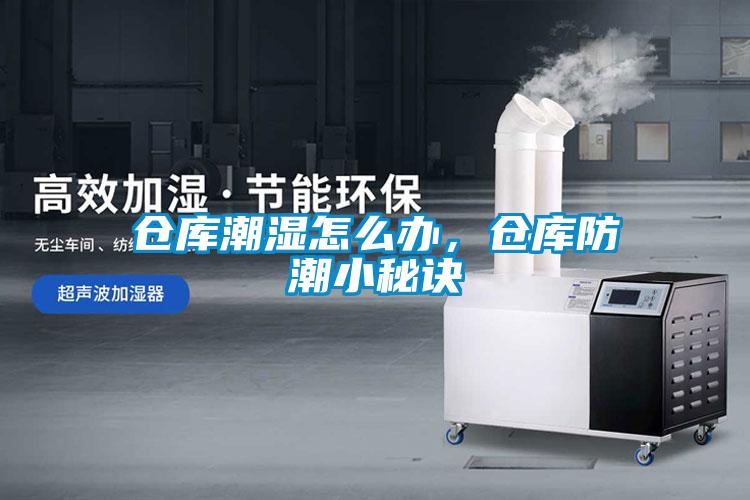 倉庫潮濕怎么辦，倉庫防潮小秘訣