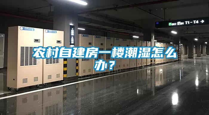 農村自建房一樓潮濕怎么辦？