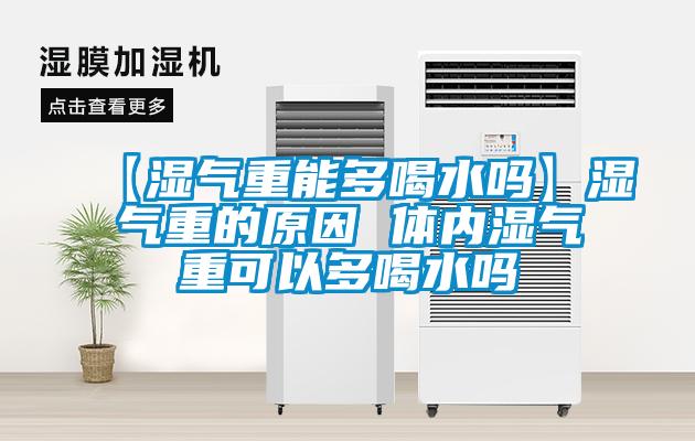 【濕氣重能多喝水嗎】濕氣重的原因 體內濕氣重可以多喝水嗎