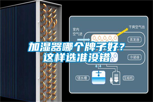 加濕器哪個(gè)牌子好？這樣選準沒(méi)錯