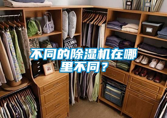 不同的除濕機在哪里不同？