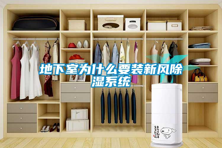地下室為什么要裝新風(fēng)除濕系統