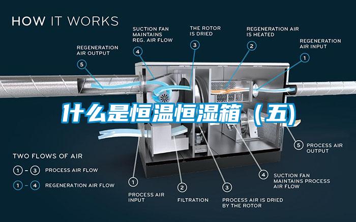 什么是恒溫恒濕箱（五)