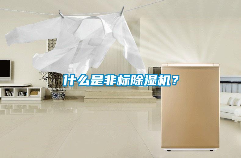 什么是非標除濕機？