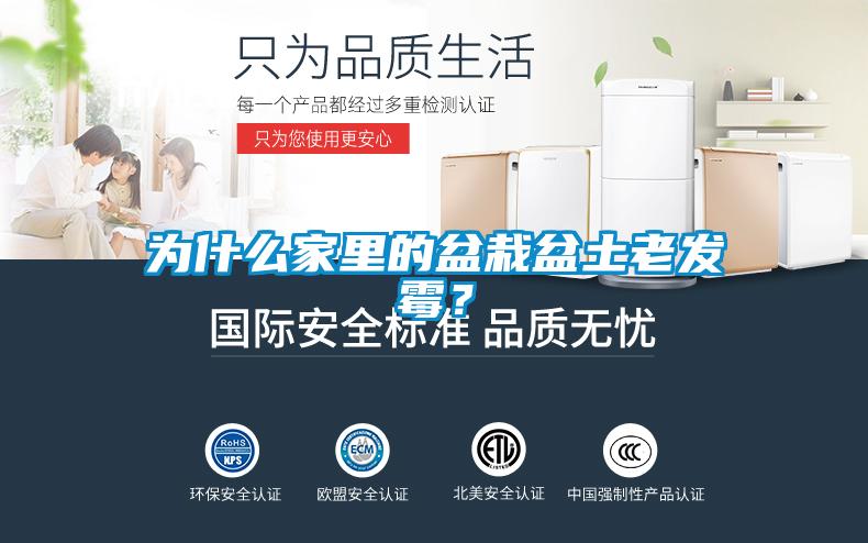 為什么家里的盆栽盆土老發(fā)霉？