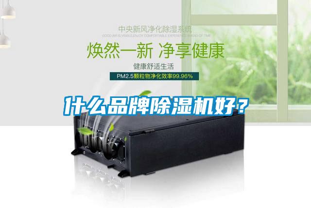 什么品牌除濕機好？