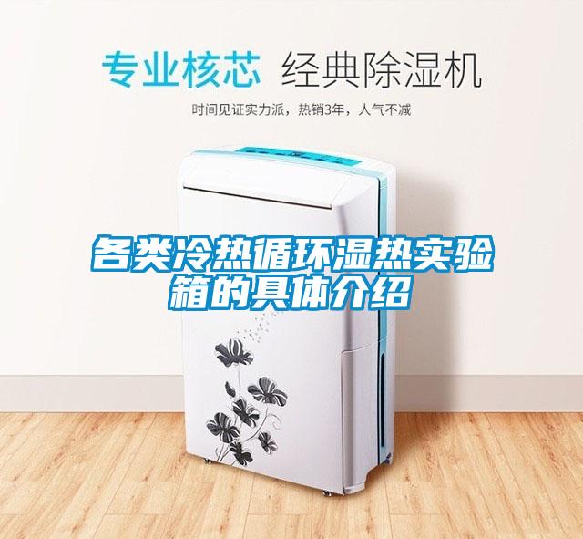各類(lèi)冷熱循環(huán)濕熱實(shí)驗箱的具體介紹