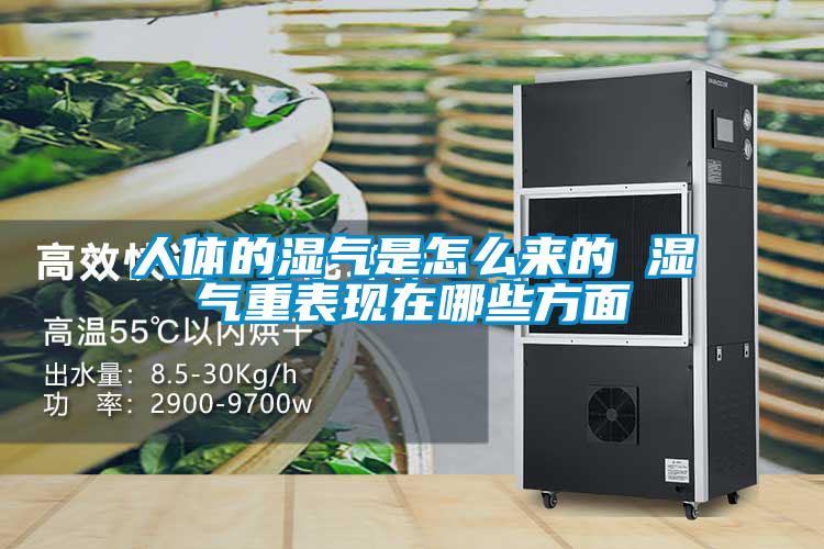 人體的濕氣是怎么來(lái)的 濕氣重表現在哪些方面