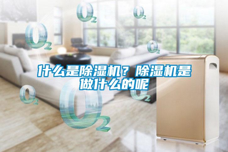 什么是除濕機？除濕機是做什么的呢
