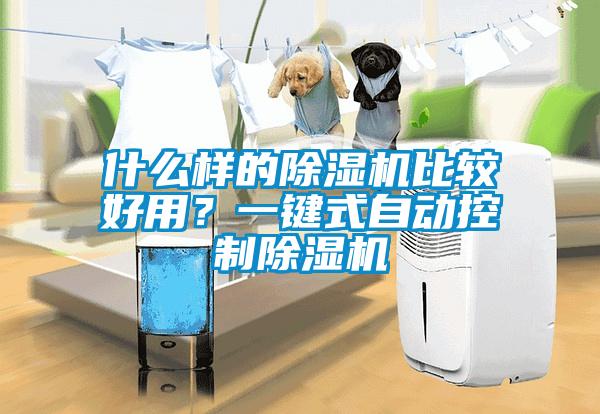 什么樣的除濕機比較好用？一鍵式自動(dòng)控制除濕機