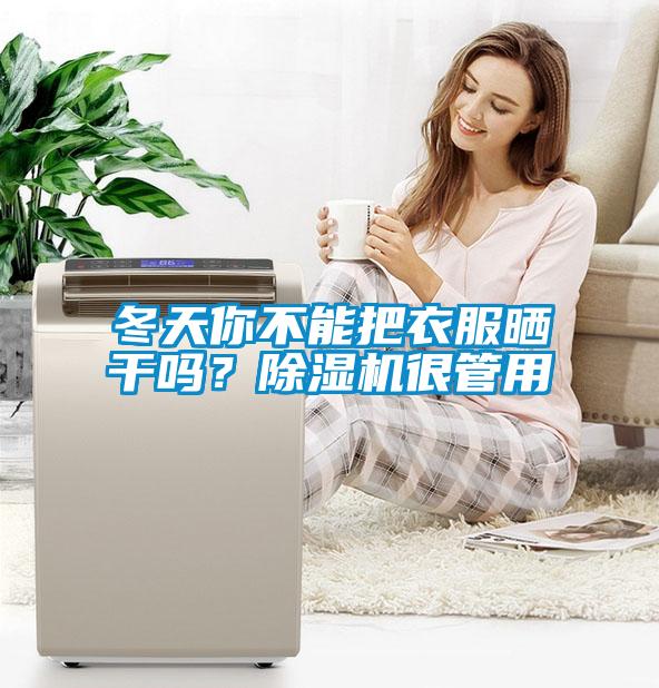 冬天你不能把衣服曬干嗎？除濕機很管用