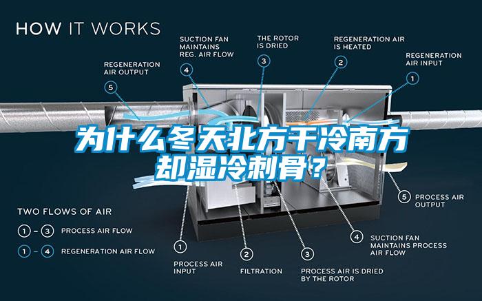 為什么冬天北方干冷南方卻濕冷刺骨？