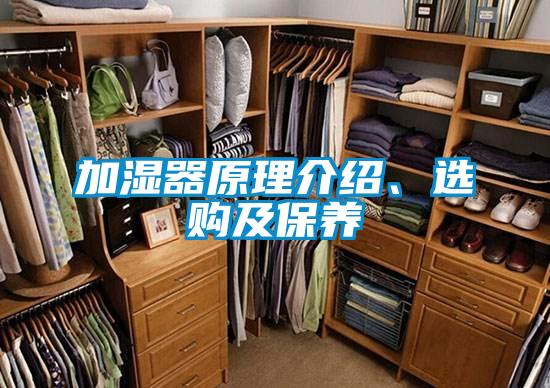 加濕器原理介紹、選購及保養