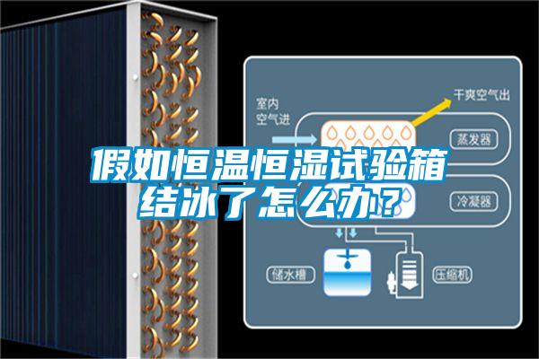 假如恒溫恒濕試驗箱結冰了怎么辦？