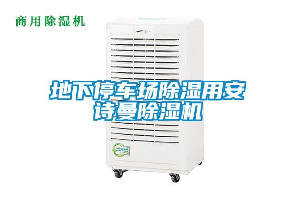 地下停車(chē)場(chǎng)除濕用安詩(shī)曼除濕機